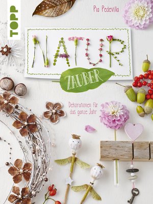 cover image of NaturZauber durchs Jahr